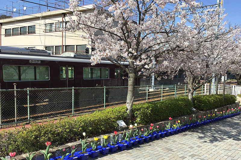 雲雀丘学園小学校