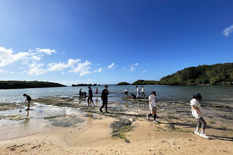 八重山諸島で美しい自然に触れた後、<br>沖縄本島に移動