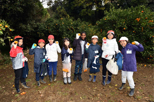 　清泉インターナショナル学園との交流 <br>　一緒にみかんの収穫